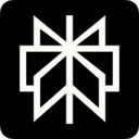 Perplexity AI (direct) logo